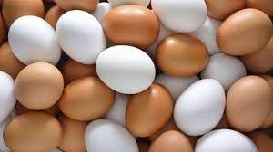Telur ayam negeri vs kampung. Mana Yang Lebih Baik Telur Ayam Kampung Atau Telur Ayam Negeri Sriwijaya Post