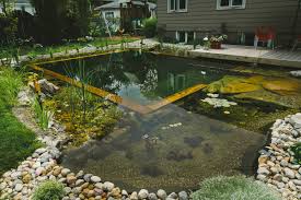 There's no accurate budget until then. Natural Swimming Pool Installation Service Passion Pool Pond