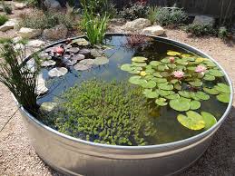 Einen Kleinen Gartenteich Anlegen Tolle Ideen Fur Frische Dekoration Mit Bildern Gartenteich Bepflanzung Kleiner Gartenteich Anlegen