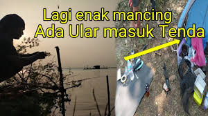 Strategic location next to the main road and in front of dedeh gypsum. Mamang Obrien Youtube Channel Analytics And Report Desarrollado Por Noxinfluencer Mobile