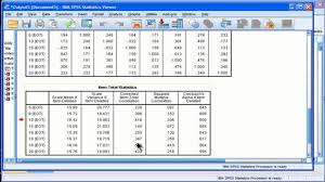 Cronbach S Alpha Spss Part 2 Cronbach S Alpha Spss Statistics Alpha