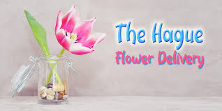 The 9 Best Options For Flower Delivery In The Hague 2019