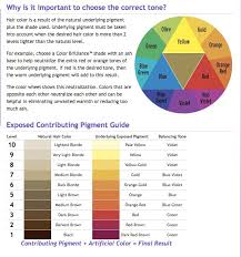 Underlying Pigment Hair Levels Hair Painting Matrix Hair Color