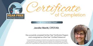 This applies to individuals as well as groups. We Re Fear Free Certified Congrats Jenn Good Dog In A Box