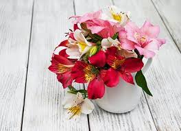 M&s flowers are a great choice for classic, reasonably priced blooms that are high quality too and for premium roses, you can't beat amarante london and their infinity rose selection. 5 Long Lasting Flowers You Can Buy At The Grocery Store