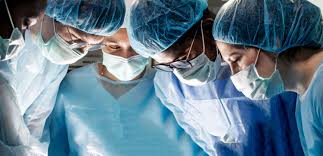 The cadaver was intended for dissection. Cadaver Dissection Lab Yoga And The Moving Body In Person Or Live Streaming Soul Of Yoga