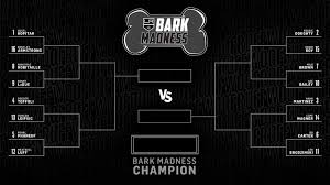 Bark Madness 2019 Sweet 16 Matchups Vote Now