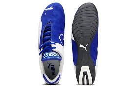 Image result for State Blue 2002 Puma