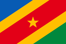 Raising the congolese flag at the park guard training camp, salonga national park. Unified Congo Flag Vexillology