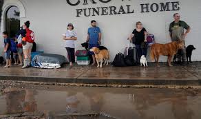 Animals Rescued In The Aftermath Of Harvey Animal Rescue Harvey Funeral Home