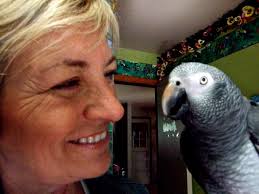 Parrot Tells A Sad Story, With A Happy Ending