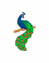 Maybe you would like to learn more about one of these? 9 Easy Step To Draw A Peacock Drawing Quickly Bird Drawing