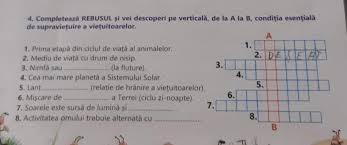 Va fi mediul lor, tot ceea ce vor cunoaste, iar pentru acest motiv. 1 Prima EtapÄ Din Ciclul De ViaÅ£Ä Al Animalelor 2 Mediu De ViaÈÄ Cu Drum De Nisip 3 NimfÄ Brainly Ro