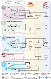 Image result for Myocardial Infarction Stabilization