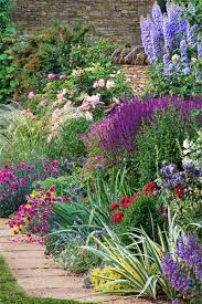 Coast live oak and ceanothus 'carmel creeper' behind. Tried And True Perennials For Your Garden This Old House