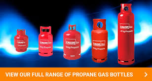 Immensely compact and weighing only 8 oz., butane canisters have become a commodity for outdoor chefs and avid campers alike. Propane Vs Butane Which Is Right For Your Bbq
