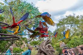 Disneydailydime Posted To Instagram If You Ve Never Seen The Winged Encounters Show In Animal Kingdom Do Yourself A Favor And Check It Out It S Amazing To