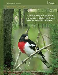 A land manager's guide to conserving habitat for forest birds in ...