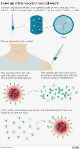 People with a history of significant allergic reactions have been warned against getting. Covid Vaccine Pfizer Applies For First Approval In Us Bbc News