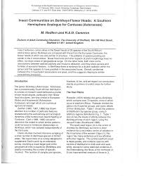 Image result for Berkheya bipinnatifida