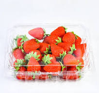 Wholesale Disposable Fruit Containers Supplier & Factory - Lesui