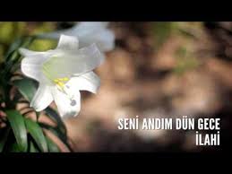 Muziksiz Ilahiler Seni Andim Dun Gece Youtube Inanilmaz Doga Cicek Doga