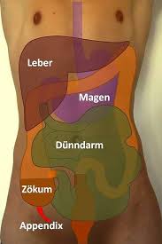 Übersicht wie häufig ist eine blinddarmentzündung? Blinddarm Op In Nurnberg Klinik Hallerwiese De