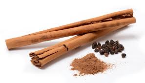 Image result for Cinnamomum verum