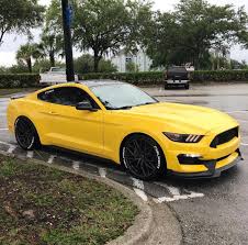 Black And Yellow Mustang Gt Triple Yellow Nice Or No Follow Socialmustang For More Mustangs Owner Fuvk S550 Check Out These Yellow Mustang Ford Mustang Shelby Gt500 Mustang Gt 350