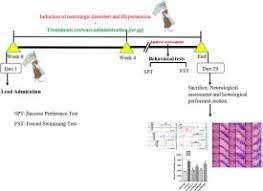 Image result for Mostuea