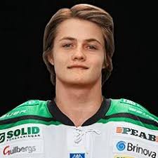 Guessing Game: 2014 NHL Mock Draft