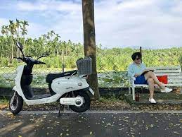 一台小白 重新體會人生 龍應台 辯論一千次樹是什麼 不如走進山中看一棵樹 50 fifty plus 遠見雜誌