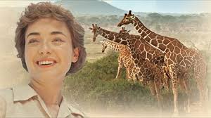 New Heritage Minute features Waterloo giraffe researcher