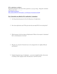 Dna structure function and replication worksheet answer key. Dna Structure And Replication Worksheet Key Promotiontablecovers