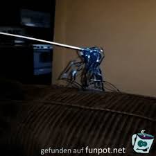 It was owned by several entities, from birgit kornblum to redacted for privacy of redacted for. Funpot Ein Pot Voller Spass Und Sehenswertem Best Funny Pictures Cats Dad Of The Year