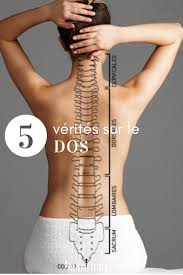 Que Savez Vous De Votre Dos Actualite Sante Le Rachis Osteoporose