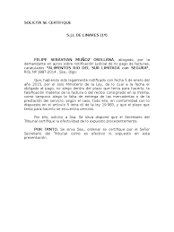 Entre diciembre de 2016 y junio de 2021 fue el alcalde de la comuna de santiago. Solicita Se Certifique Felipe Sebastian Munoz Orellana