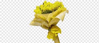 Buona festa! (happy holiday!) my boss mario greeted me with a big smile and was handing me a small bunch of yellow. International Women S Day Woman Flower Acacia Dealbata Mimosa Woman People Flower Woman Png Pngwing