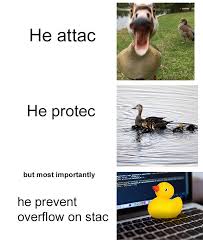 In software engineering, rubber duck debugging is a method of debugging code. Rubber Duck Debugging Programming Coding Software Developers Webdev Sysadmin Programmers Cs Funny Memes Programmer Humor Memes