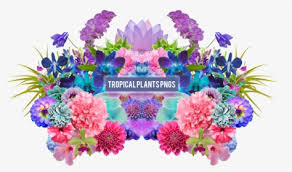 Check spelling or type a new query. Aesthetic Flower Png Tropical Flowers Png Pack Transparent Png Transparent Png Image Pngitem