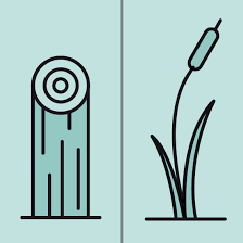 La hipoteca inteligente flexible con tipo fijo 10 años y 15 años variable, en caso de no obtener ninguna bonificación (por domiciliación de nómina, o prestación por desempleo o pensión, por un importe igual o superior a 600€/mes, por contratar un seguro de hogar. Construir Mi Propia Casa Hipoteca Autopromotor Hipotecas Bankinter