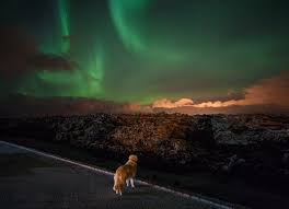 Www Nli Is Northern Light Inn Max S Restaurant Iceland Telephone 354 426 8650 Northern Lights See The Northern Lights Best Hotels In Iceland