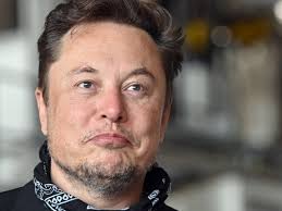 Biopharma firm spins off cancer research to mine Dogecoin instead