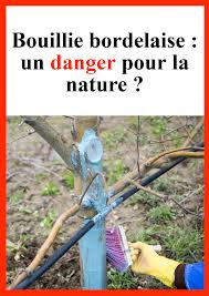 Bouillie Bordelaise Un Danger Pour La Nature Desherbage Nature Engrais Naturel