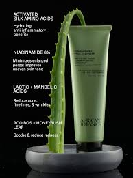 Image result for Buchnera lastii