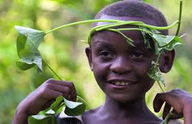 We are delighted to see the stunning images taken by our friend Molly  Feltner in the latest publication from the German magazine, "espero"! 🌳  This non-profit magazine project is based in Germany