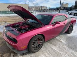 Image result for Furious Fuchsia 2010 Challenger