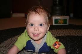 Fundraiser by JT Randolph : Nichols Memorial Garden