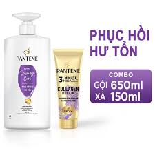 Dầu Gội Chăm Sóc và Phục Hồi Tóc Hư Tổn Pantene Total Damage Care Shampoo  (650ml)