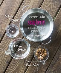 That's the case with this one. Homemade Liquid Soap Nuts Laundry Detergent The Eco Friendly Family